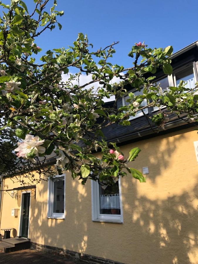 Am Apfelbaum, Ein Ferienhaus Zwischen Rhein Und Mosel Kastellaun Buitenkant foto