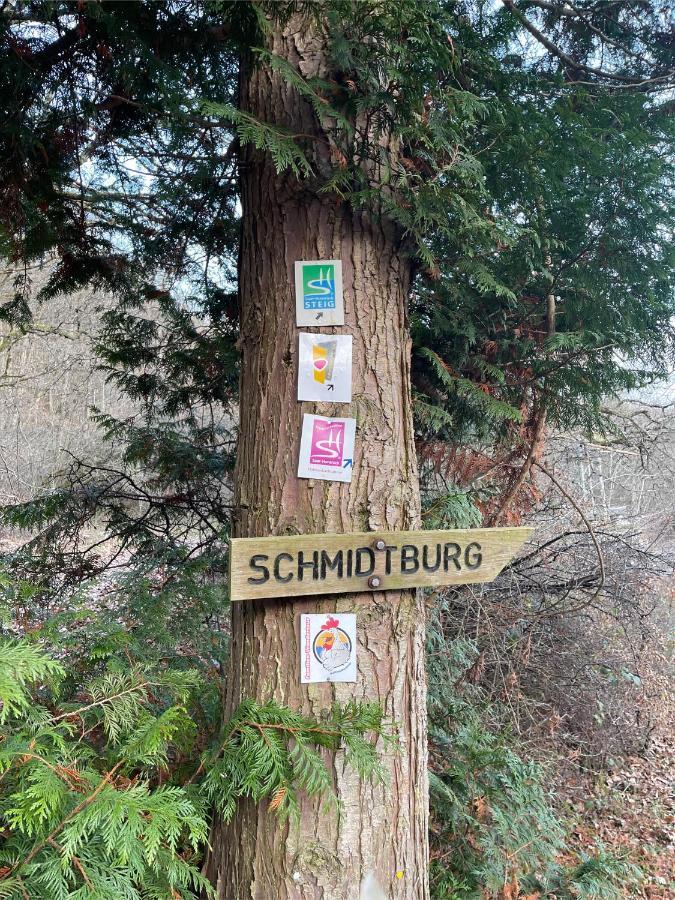 Am Apfelbaum, Ein Ferienhaus Zwischen Rhein Und Mosel Kastellaun Buitenkant foto