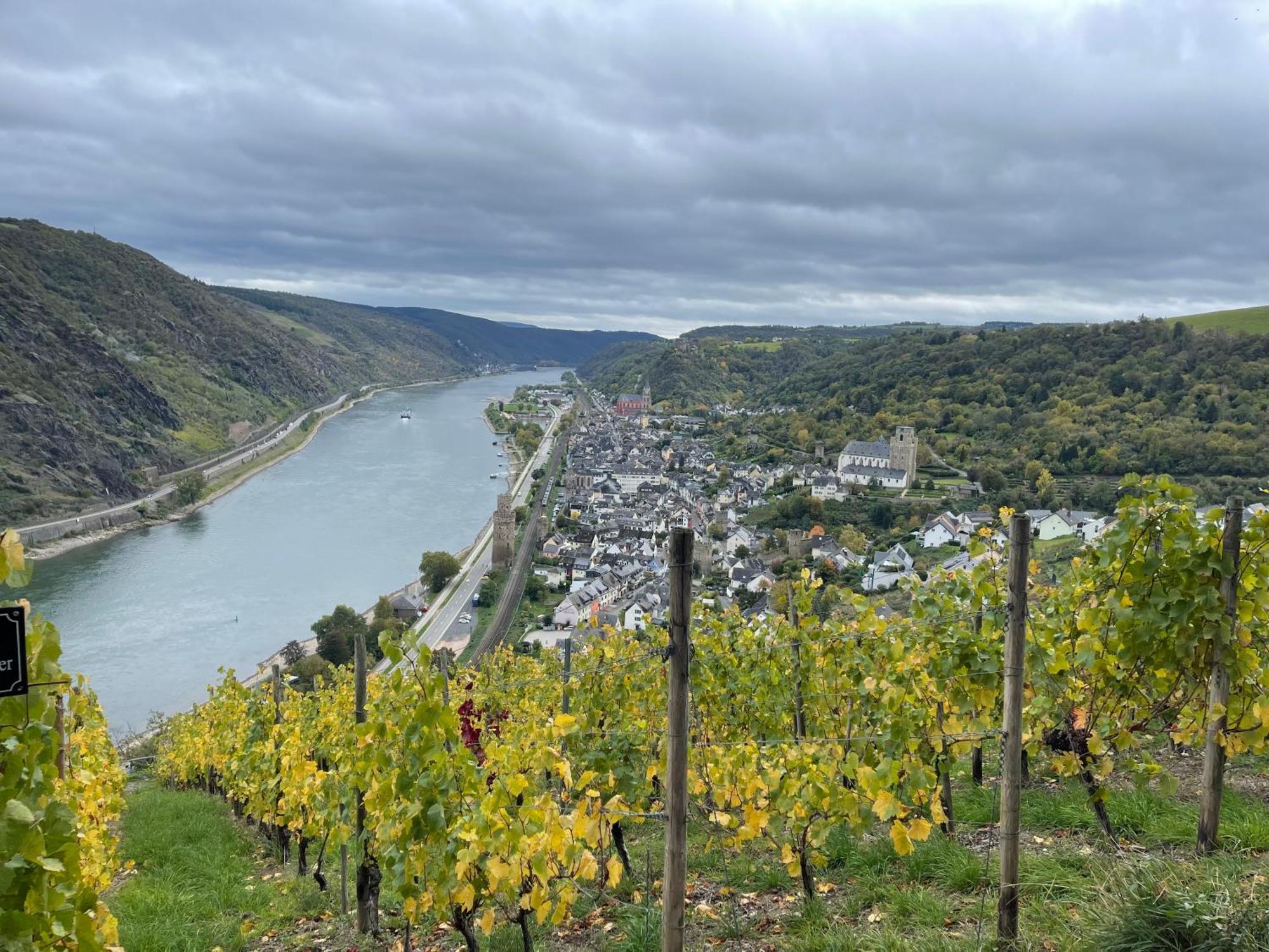 Am Apfelbaum, Ein Ferienhaus Zwischen Rhein Und Mosel Kastellaun Buitenkant foto